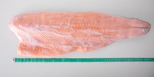 Łosoś bio - filet (1,5 - 3 kg) - IQF - TRYM D - pochodzenie Wyspy Owcze