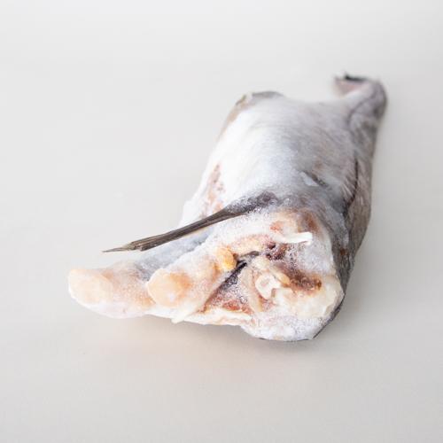 Plamiak - tusza bez głowy (500 g+) - IQF lub blok