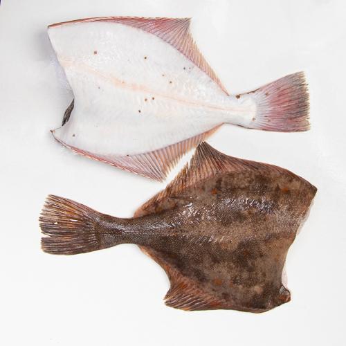 Flądra bałtycka bez głowy - tusza - 1kg