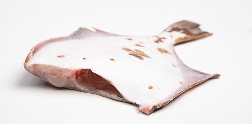 Flądra bałtycka bez głowy - tusza - 1kg