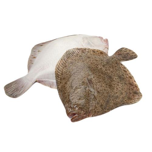 Turbot cały - 1kg