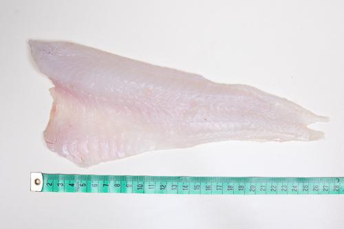 Dorsz bałtycki – filet bez skóry – 1 kg