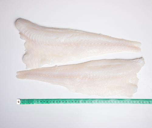 Dorsz atlantycki - filet bez skóry - 1kg