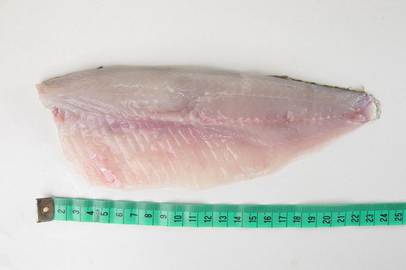 Płoć filet