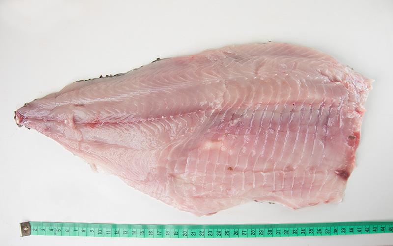 Leszcz filet