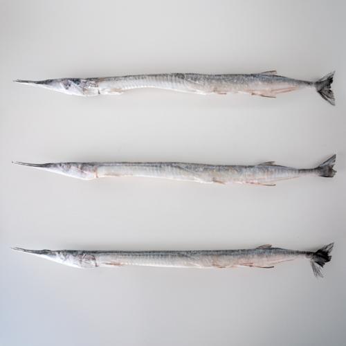 Belona (300 g+) - patroszona